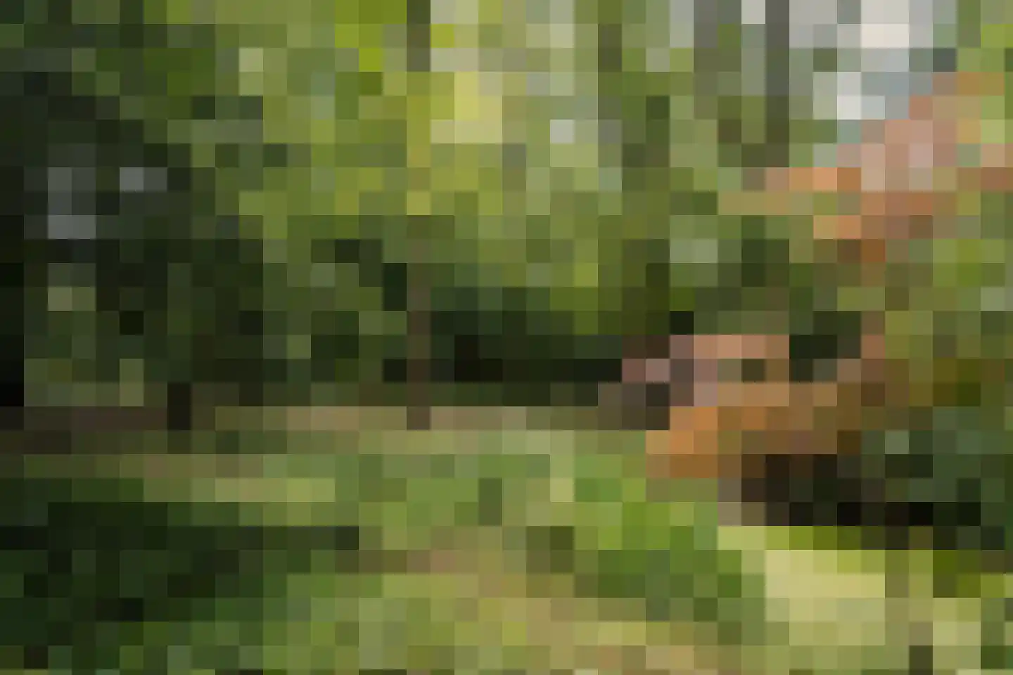 Bovenweg 12 Aerdenhout thumbnail 4