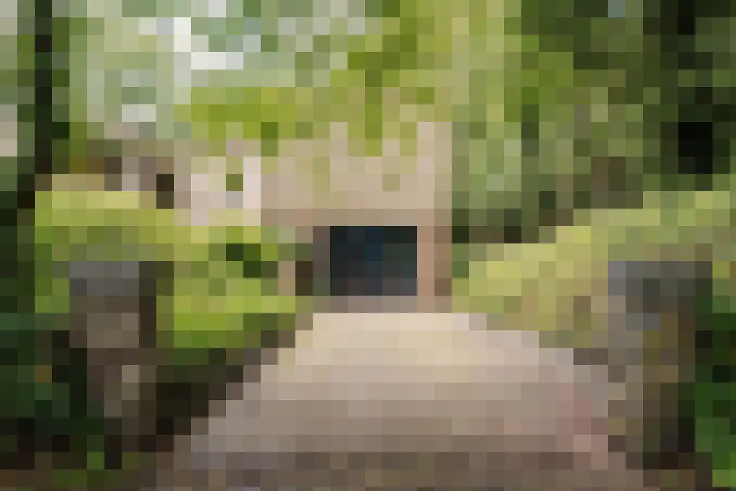 Bovenweg 12 Aerdenhout thumbnail 5