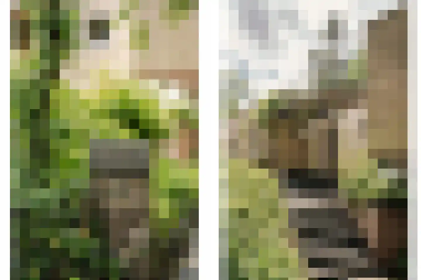 Bovenweg 12 Aerdenhout thumbnail 6