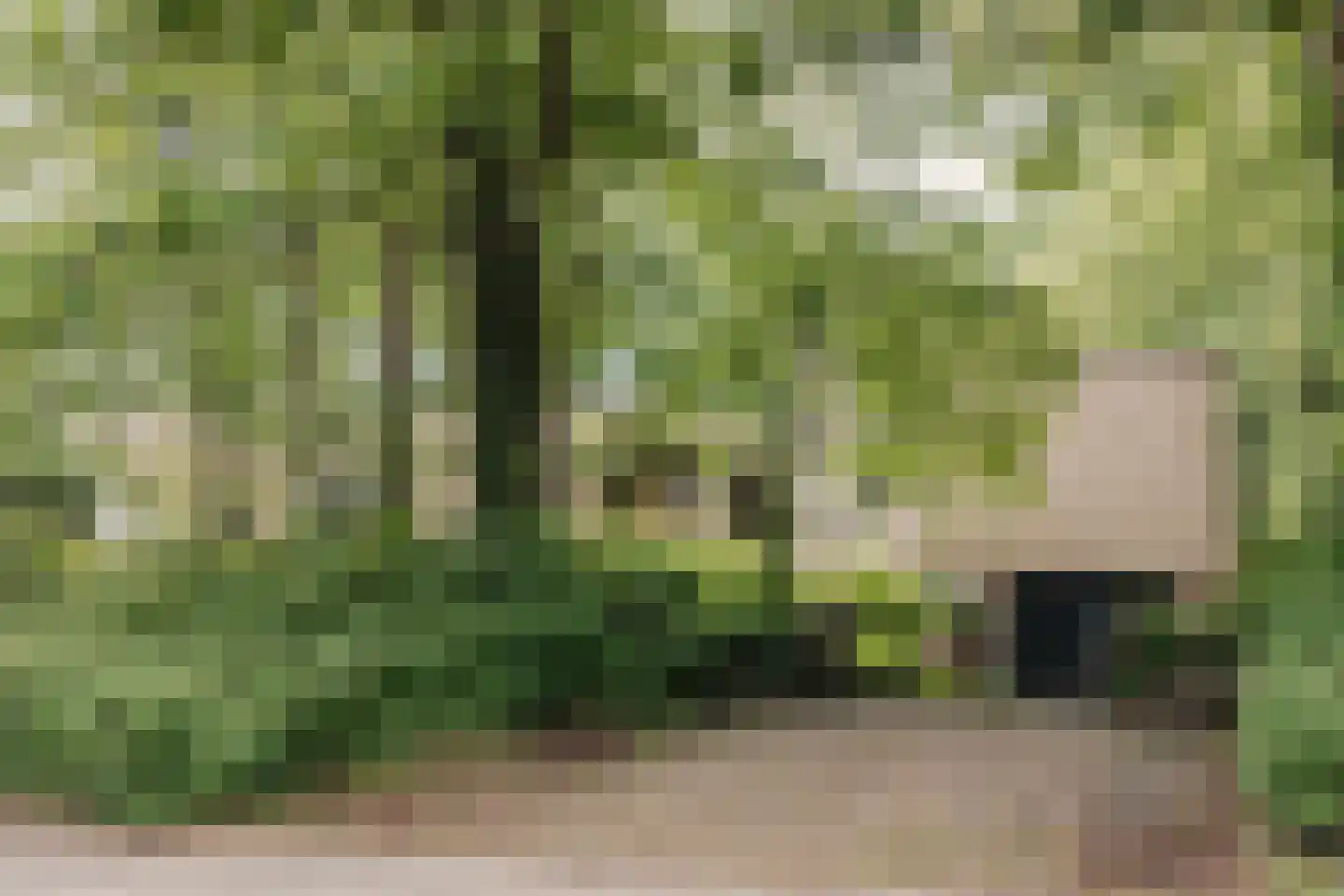 Bovenweg 12 Aerdenhout thumbnail 72