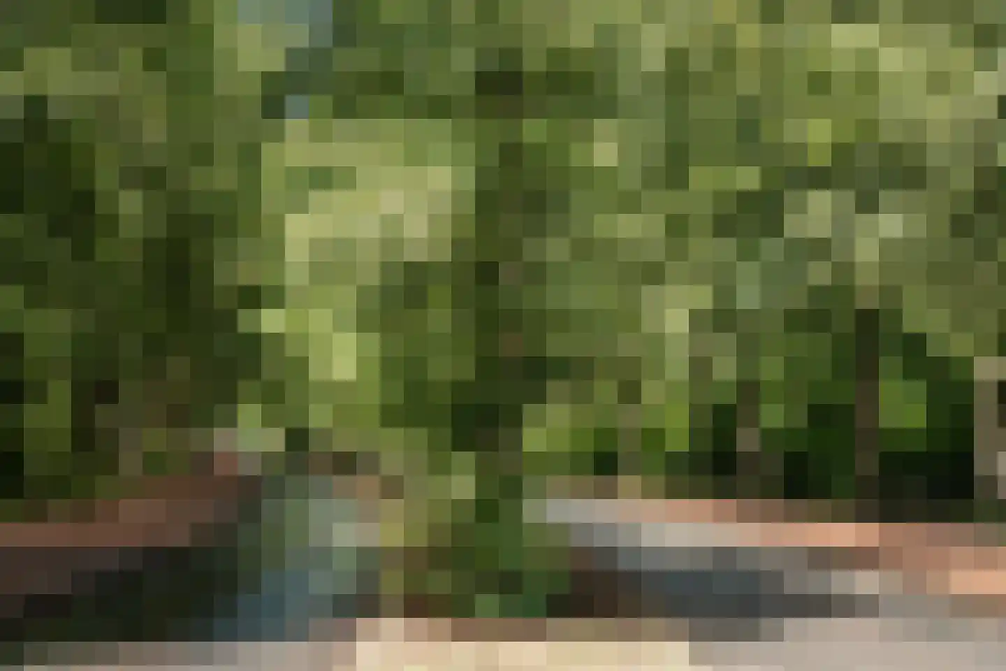 Bovenweg 12 Aerdenhout thumbnail 73