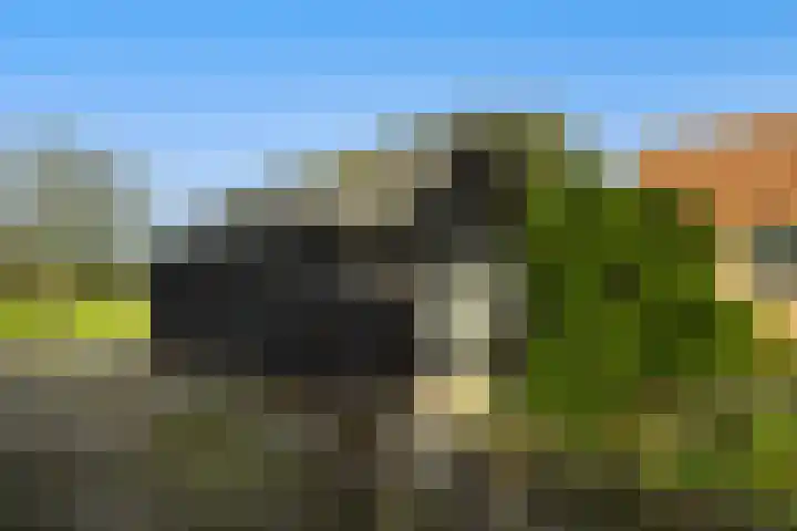 Bovenweg 12 't Harde thumbnail 11