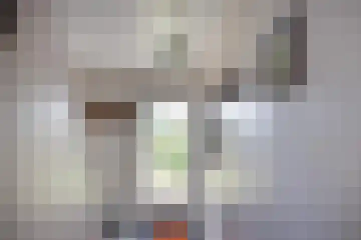 Bovenweg 12 't Harde thumbnail 12
