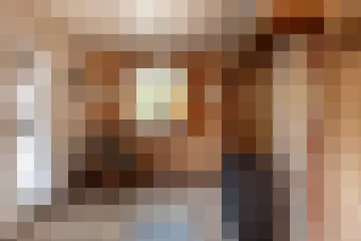 Bovenweg 12 't Harde thumbnail 14