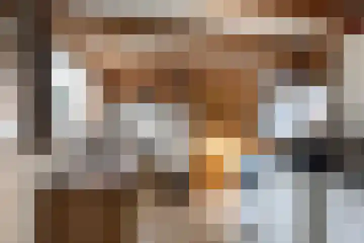 Bovenweg 12 't Harde thumbnail 15