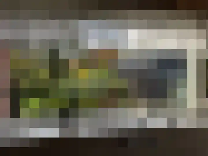 Bovenweg 12 't Harde thumbnail 16