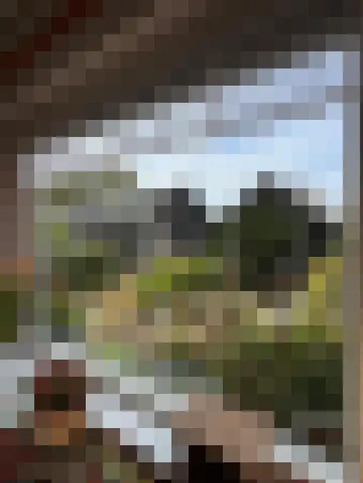 Bovenweg 12 't Harde thumbnail 21