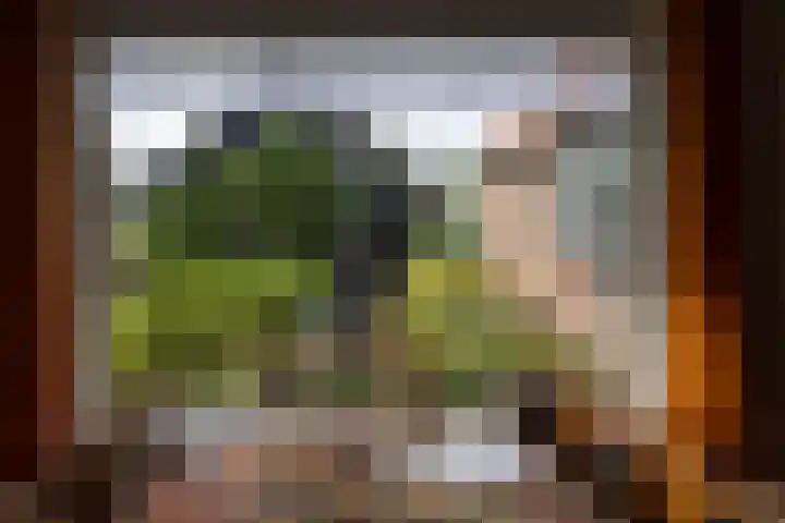 Bovenweg 12 't Harde thumbnail 22