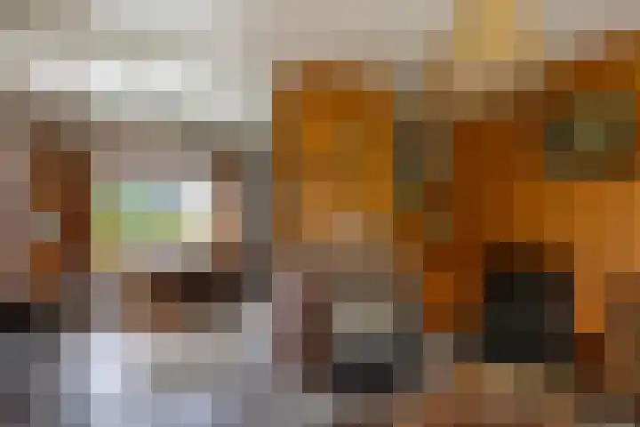 Bovenweg 12 't Harde thumbnail 23