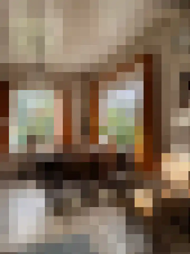 Bovenweg 12 't Harde thumbnail 25