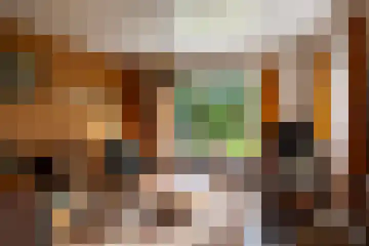 Bovenweg 12 't Harde thumbnail 26