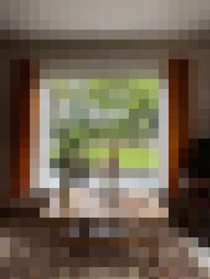 Bovenweg 12 't Harde thumbnail 27