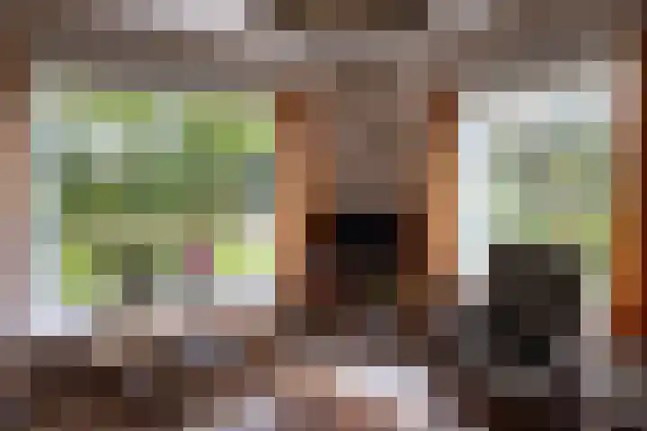 Bovenweg 12 't Harde thumbnail 28