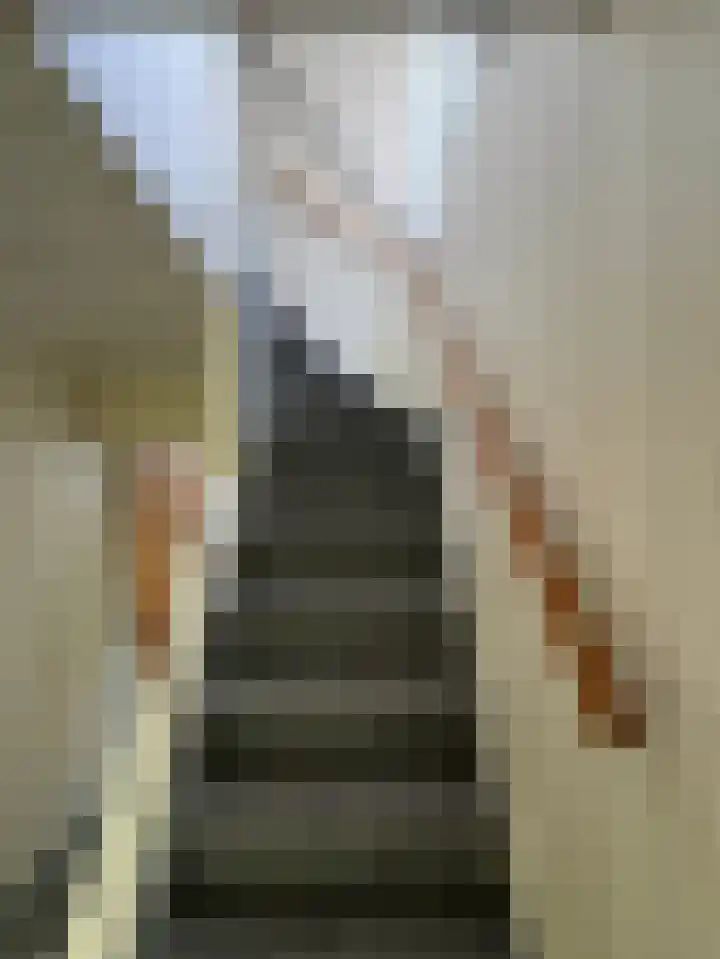 Bovenweg 12 't Harde thumbnail 32