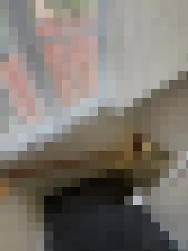 Bovenweg 12 't Harde thumbnail 33