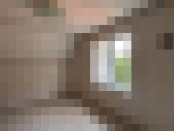 Bovenweg 12 't Harde thumbnail 36