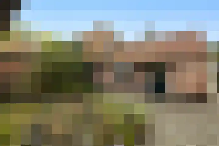 Bovenweg 12 't Harde thumbnail 37