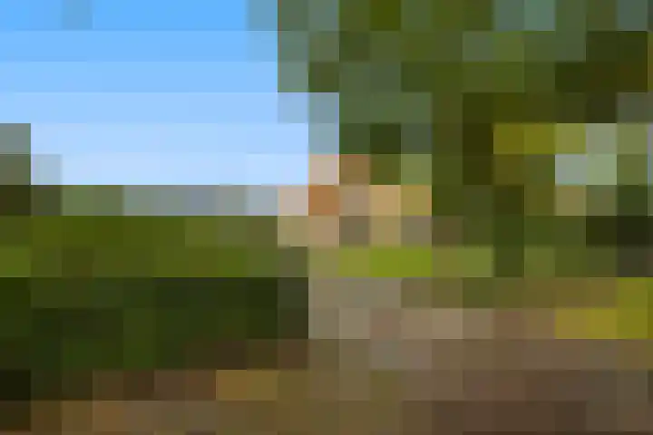 Bovenweg 12 't Harde thumbnail 4
