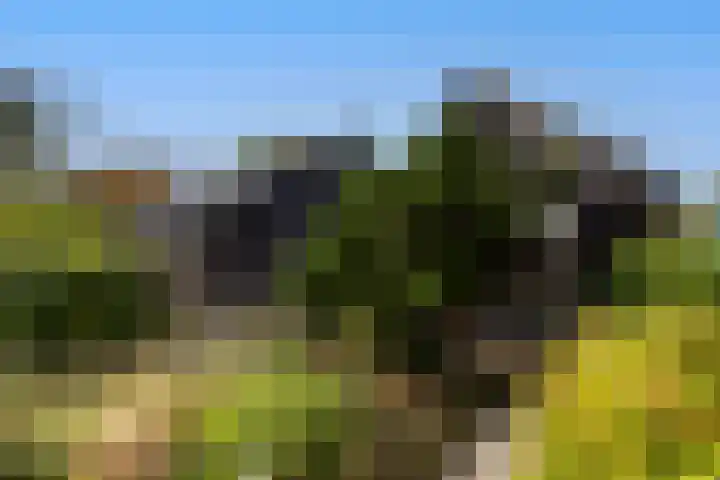 Bovenweg 12 't Harde thumbnail 45
