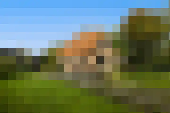 Bovenweg 12 't Harde thumbnail 5