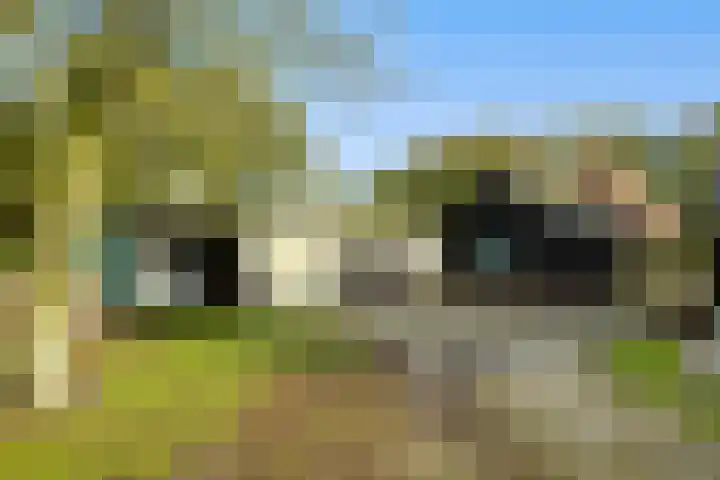 Bovenweg 12 't Harde thumbnail 50