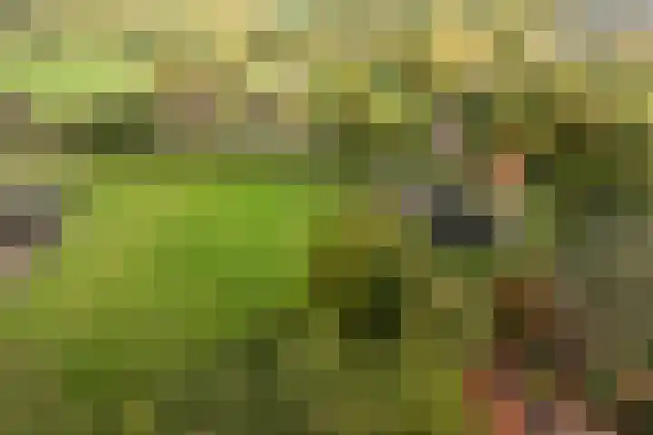 Bovenweg 12 't Harde thumbnail 52