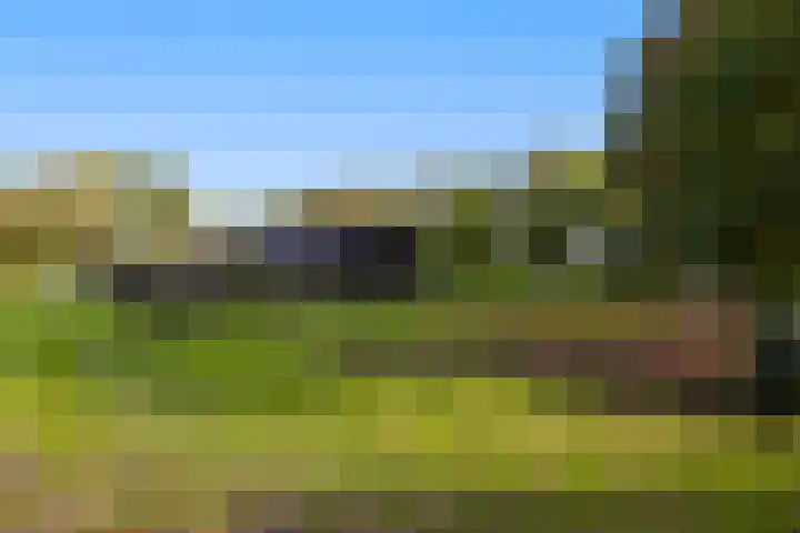 Bovenweg 12 't Harde thumbnail 53