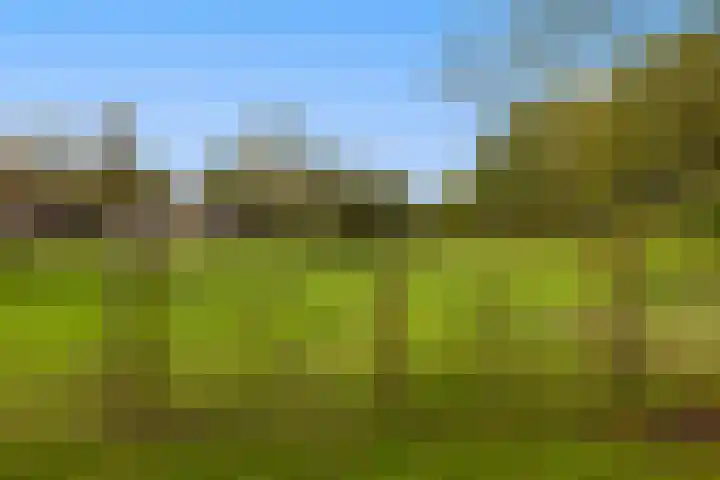 Bovenweg 12 't Harde thumbnail 55