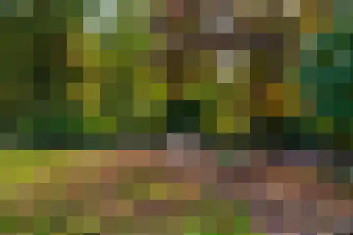 Bovenweg 12 't Harde thumbnail 56