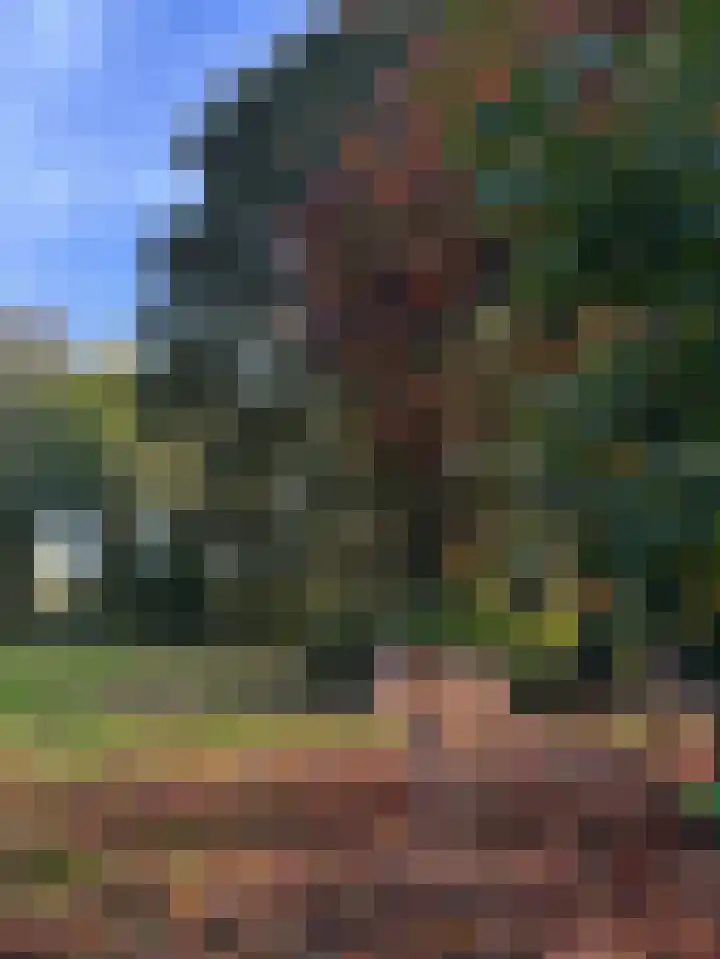 Bovenweg 12 't Harde thumbnail 57