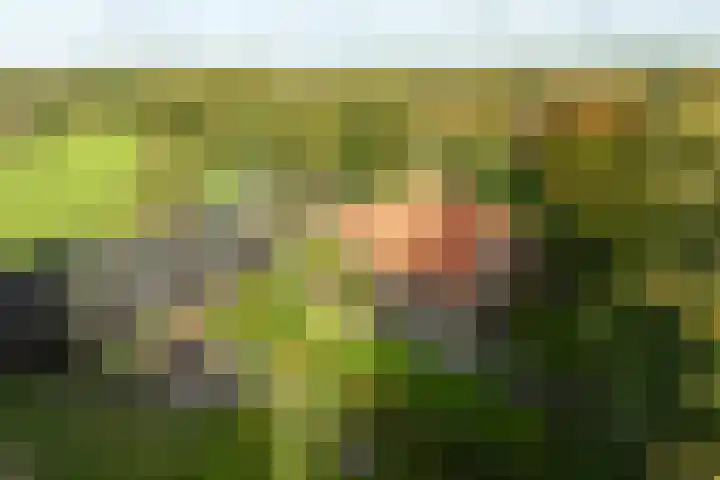 Bovenweg 12 't Harde thumbnail 58