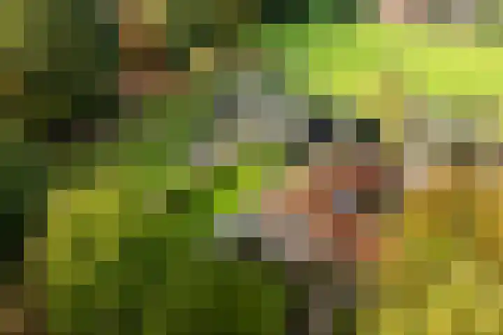Bovenweg 12 't Harde thumbnail 59