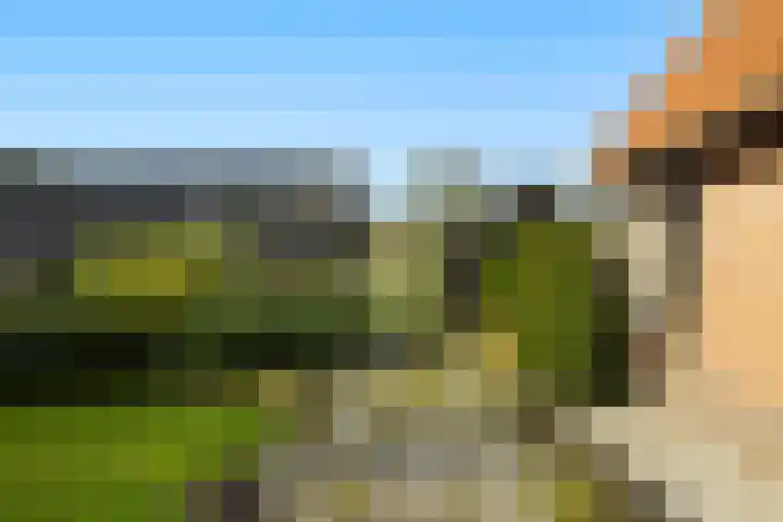 Bovenweg 12 't Harde thumbnail 6
