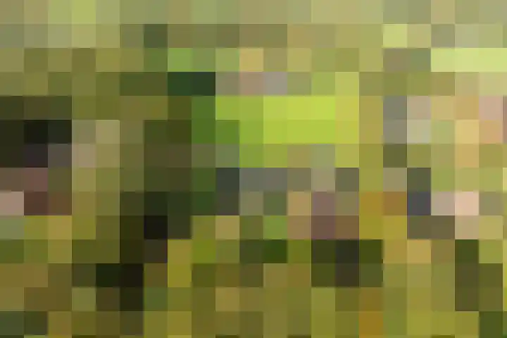 Bovenweg 12 't Harde thumbnail 60