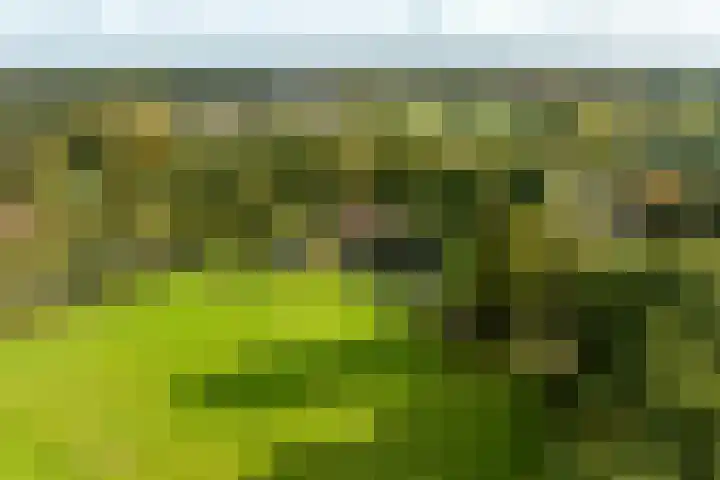Bovenweg 12 't Harde thumbnail 61