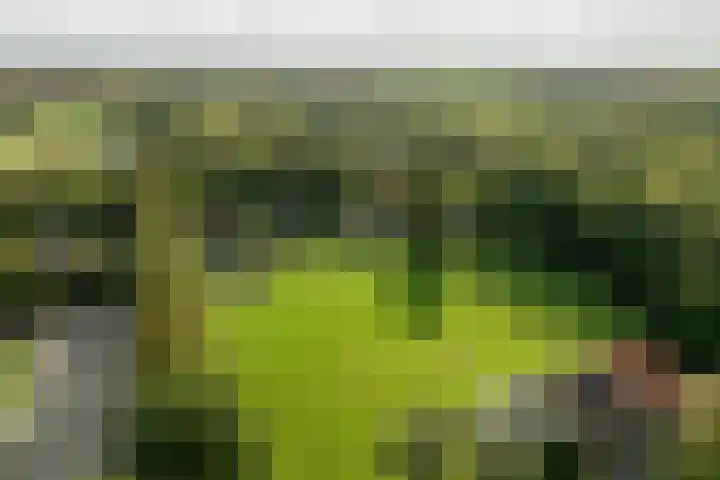 Bovenweg 12 't Harde thumbnail 62
