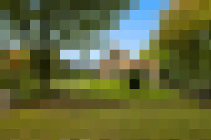 Bovenweg 12 't Harde thumbnail 65