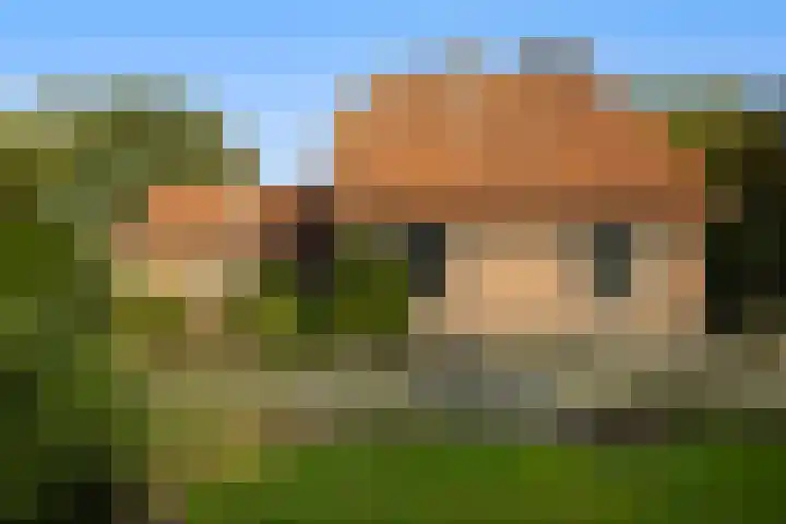 Bovenweg 12 't Harde thumbnail 7