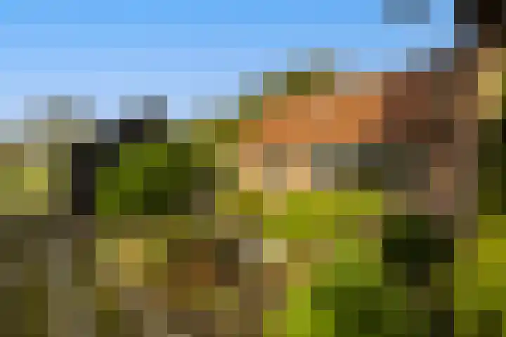 Bovenweg 12 't Harde thumbnail 8