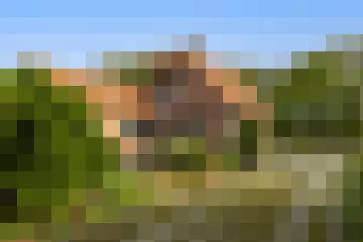Bovenweg 12 't Harde thumbnail 9