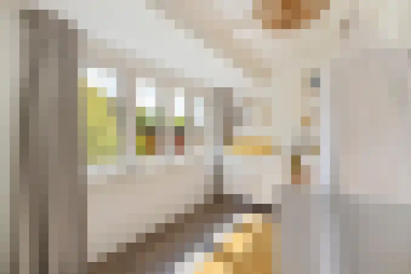 Bovenweg 14 Sint Pancras thumbnail 25