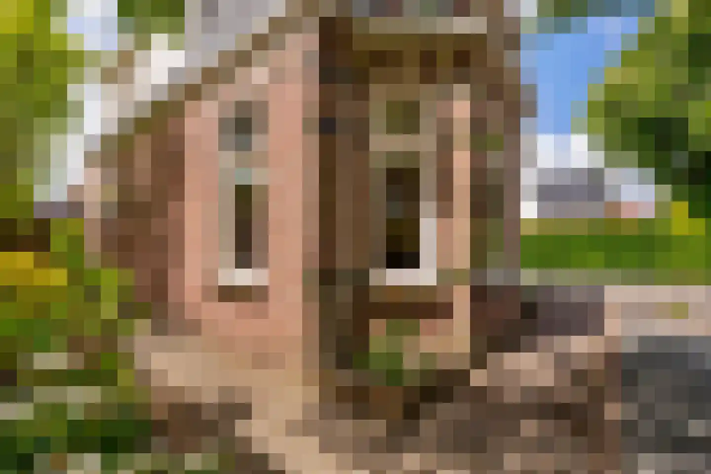 Bovenweg 14 Sint Pancras thumbnail 36