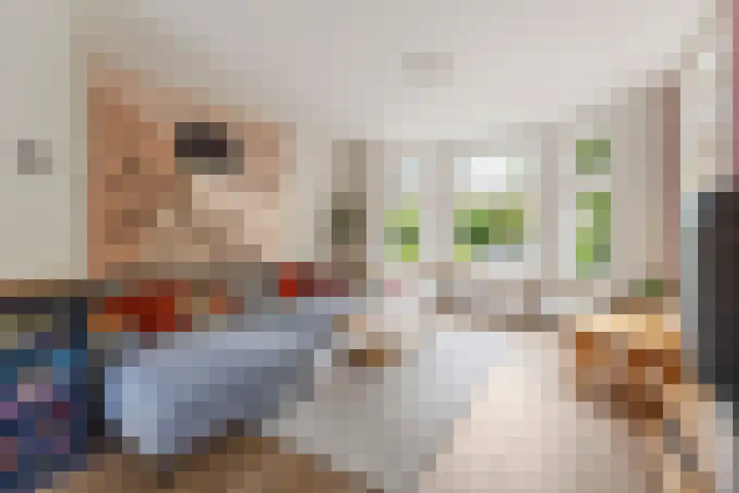Bovenweg 14 Sint Pancras thumbnail 4