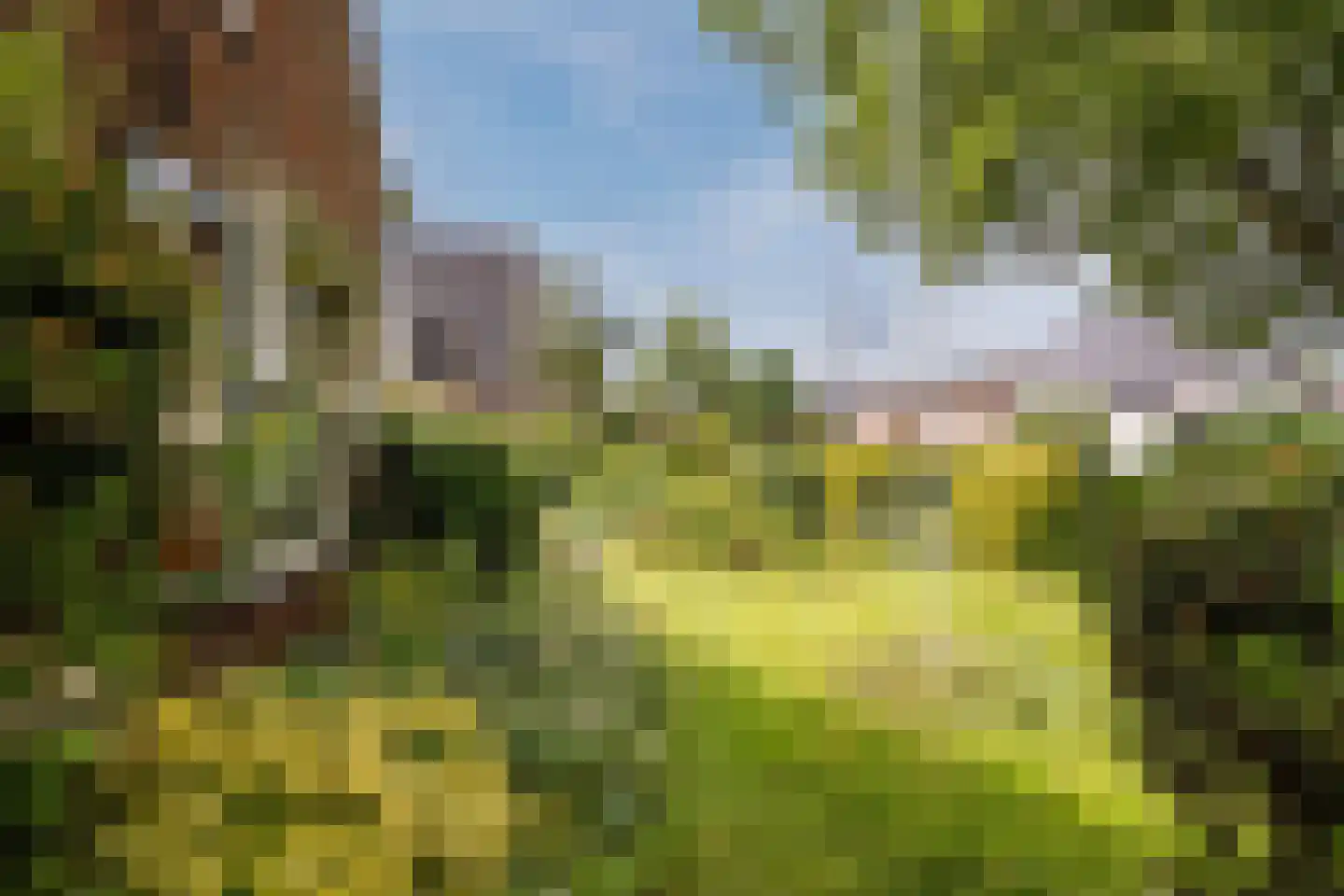 Bovenweg 153 Sint Pancras thumbnail 11
