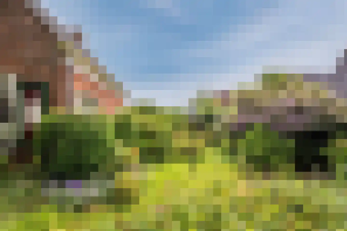 Bovenweg 153 Sint Pancras thumbnail 12