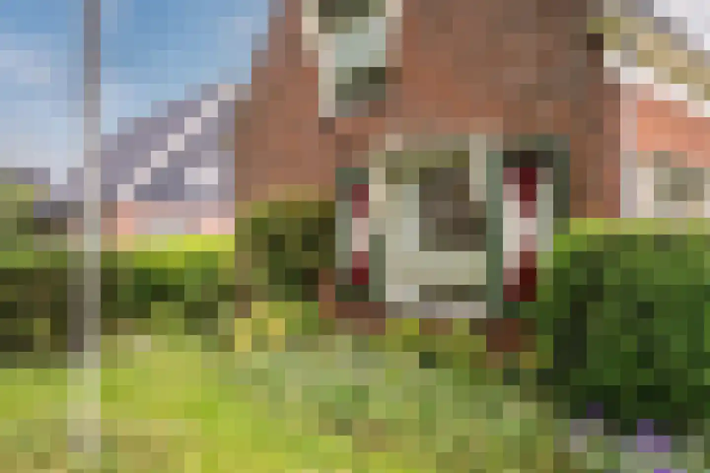 Bovenweg 153 Sint Pancras thumbnail 13