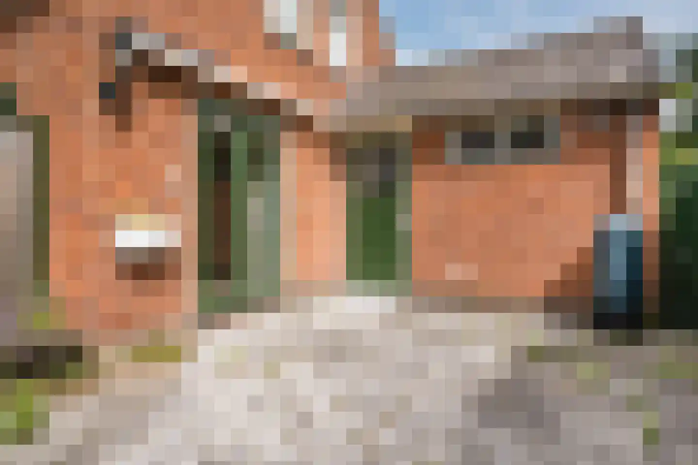 Bovenweg 153 Sint Pancras thumbnail 54