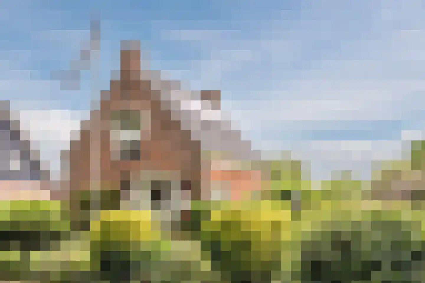 Bovenweg 153 Sint Pancras thumbnail 7