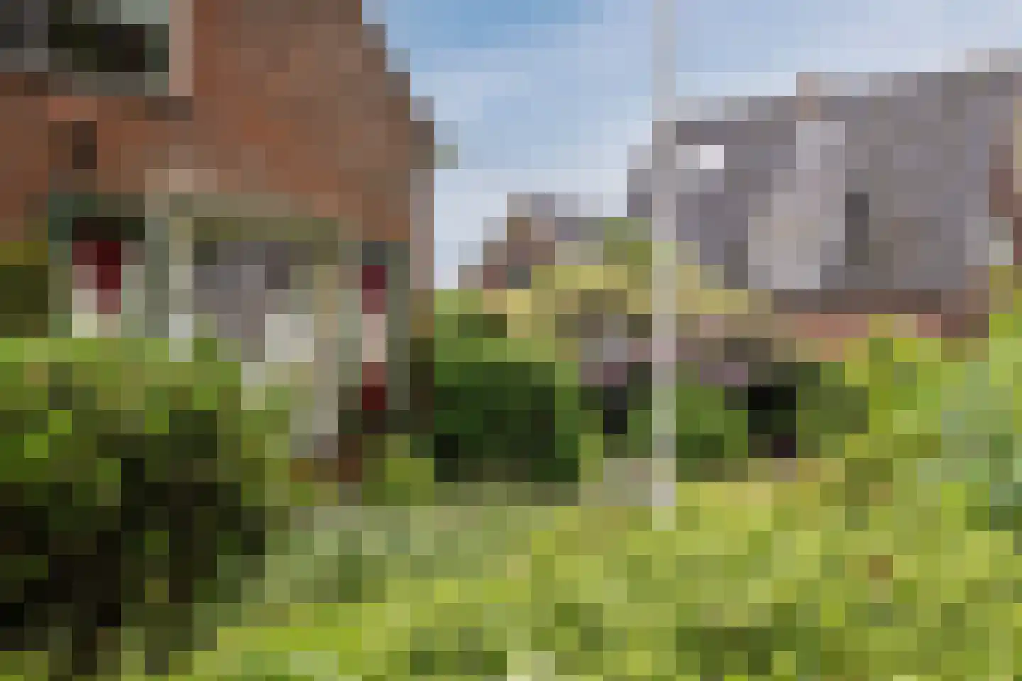 Bovenweg 153 Sint Pancras thumbnail 9