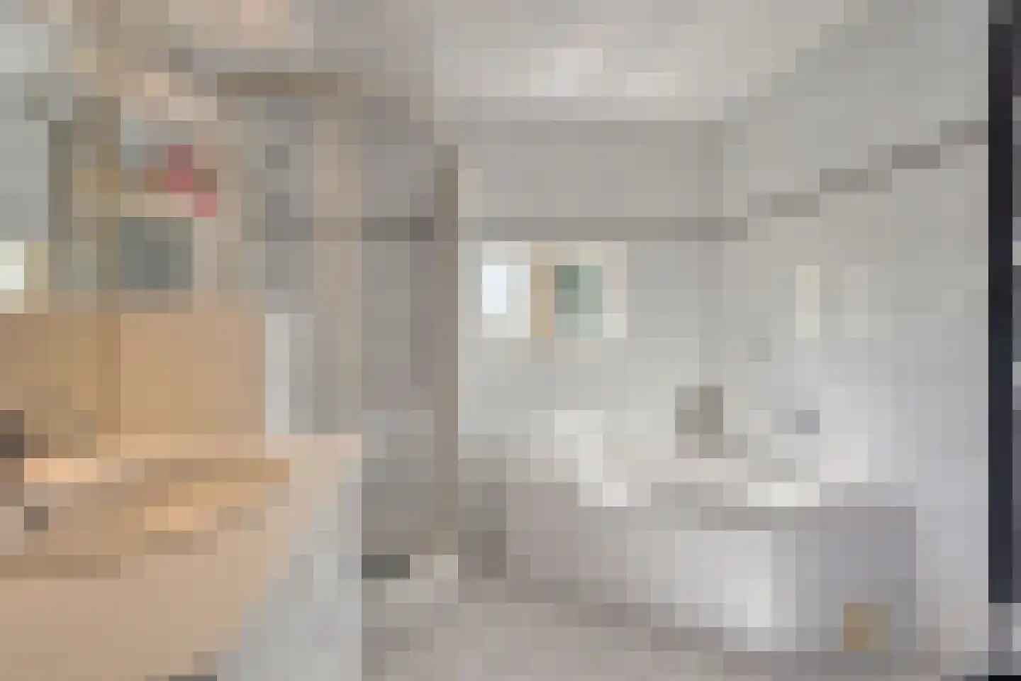 Bovenweg 16 Schoorl thumbnail 17